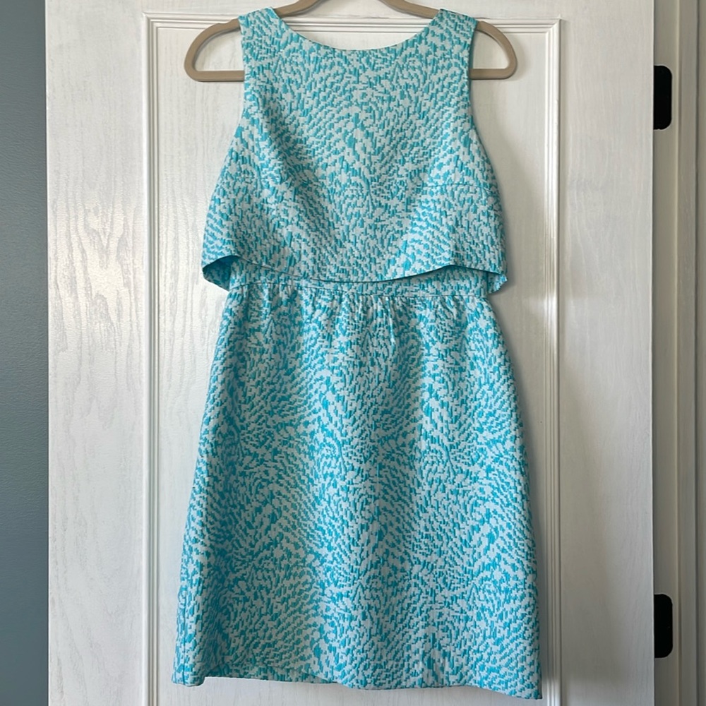 The Limited Set Style Dress